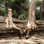 Ангкор-Вад 