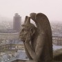 Знаменитый Нотр-Дам. Париж, Франция.