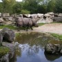 Зоопарк Мюнхена